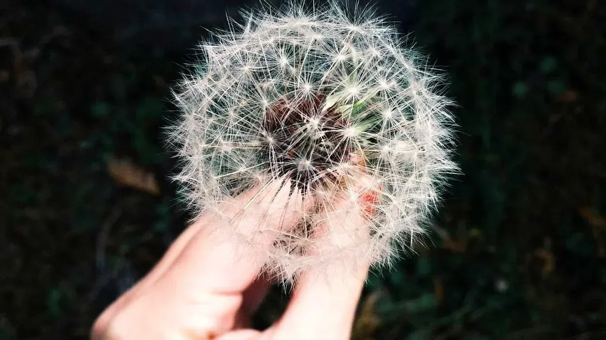 From Chaos to Harmony: Balancing Inner World with Sandplay Therapy