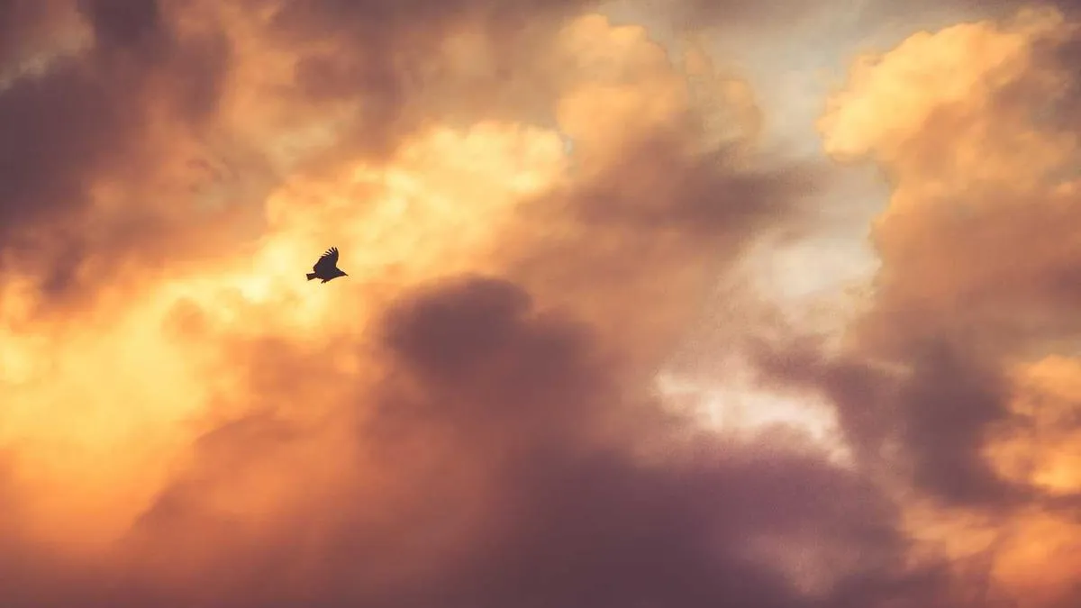 How Do Childhood Experiences Affect Our Happiness? Emotional Intelligence Is the Key to Healing