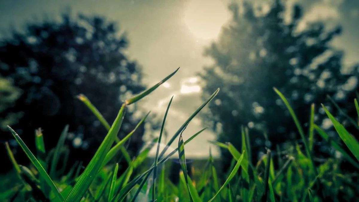 Radical Acceptance: An Unexpected Approach to Emotional Management
