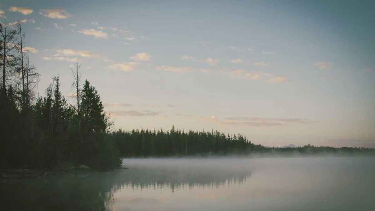 The Trust Code of Psychological Counseling: Why Does the First Meeting Determine Treatment Outcomes? Psychologists Reveal Secrets to Building Therapist-Client Relationships